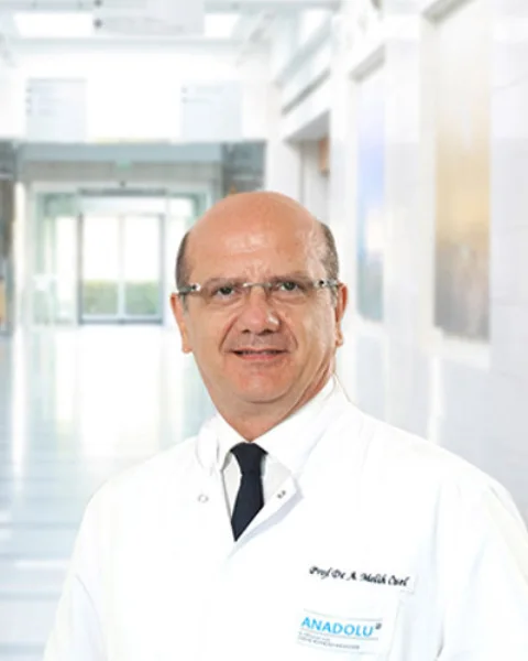 A. Melih Özel