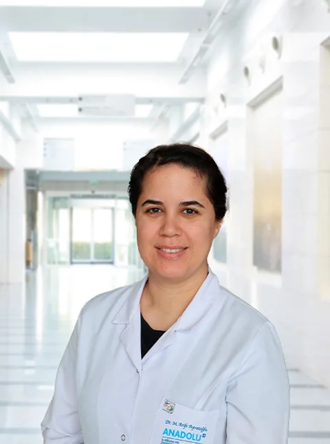 M. Arife Ayvazoglu